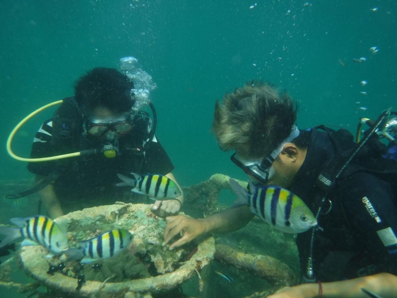 Diving