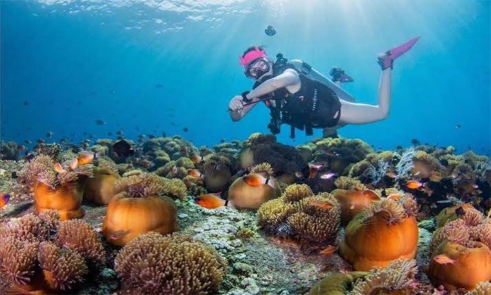 Snorkeling